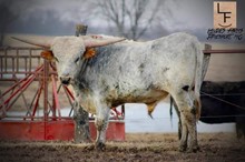 Landes Farms Rush Hour