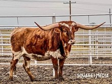 RH Tuffs Copper Rose